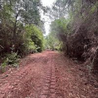 32.62 Acres Pike County MS