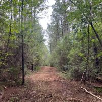 32.62 Acres Pike County MS images 5