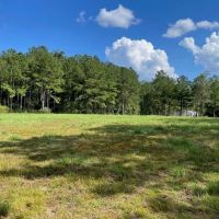 Turn Key 85 Acres in Sandy Hook MS