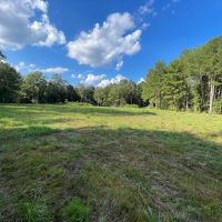 Turn Key 85 Acres in Sandy Hook MS images 2