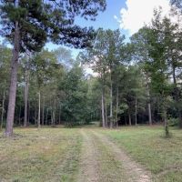 Turn Key 85 Acres in Sandy Hook MS images 3