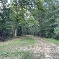 Turn Key 85 Acres in Sandy Hook MS images 4