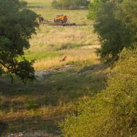 Indian Creek Ranch images 5