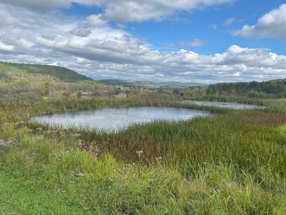 100 acres House with Hunting Land and Pond in Cuba NY 9959 W. Cuba Road featured image