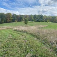 100 acres House with Hunting Land and Pond in Cuba NY 9959 W. Cuba Road images 2
