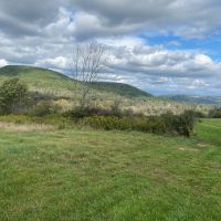 100 acres House with Hunting Land and Pond in Cuba NY 9959 W. Cuba Road images 4
