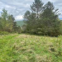 100 acres House with Hunting Land and Pond in Cuba NY 9959 W. Cuba Road images 5