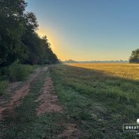 Cottonwood Creek Ranch images 2