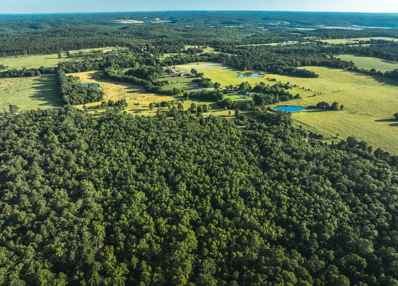 Deer Run Acres Hunting Land for Sale