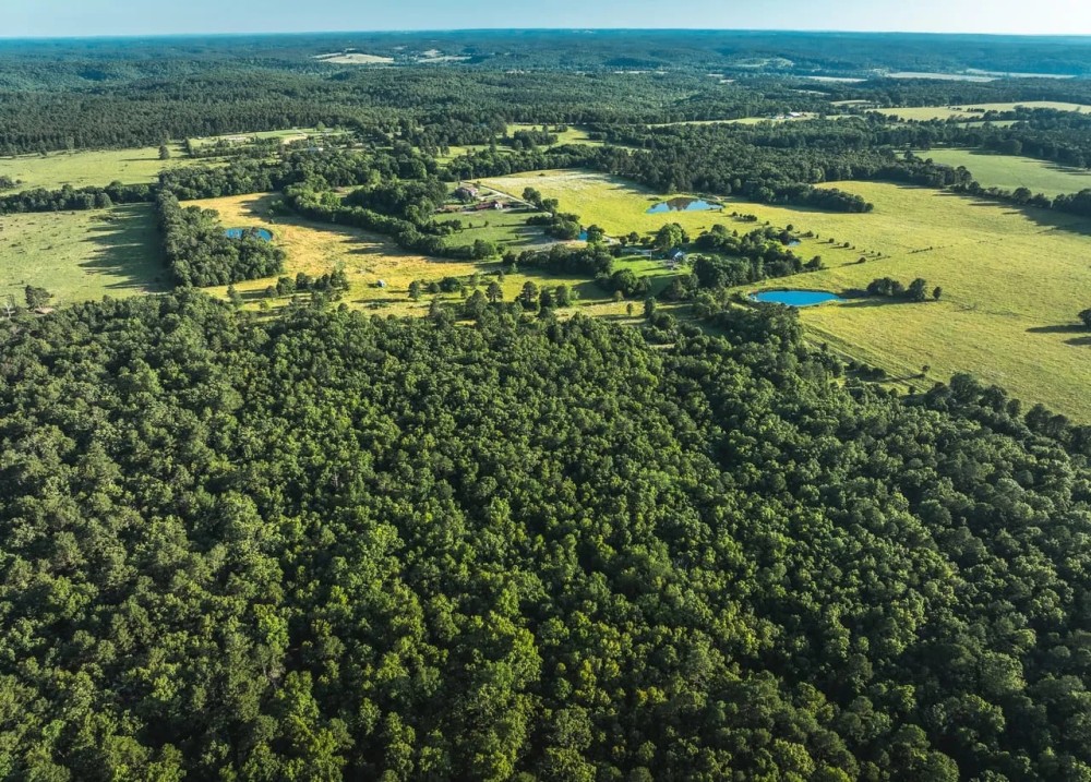 Deer Run Acres featured image