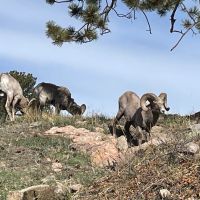 Big Bear Ranch images 4