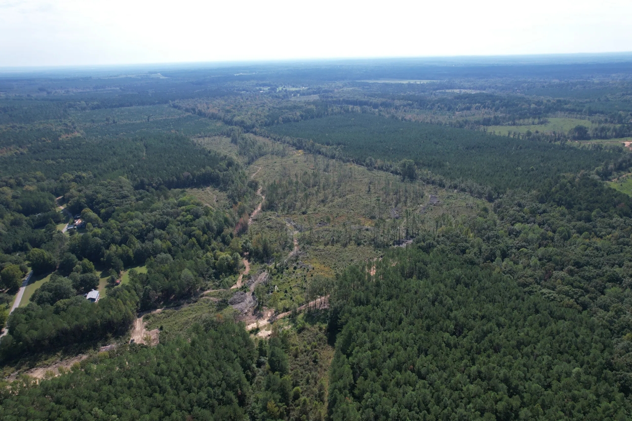 60 Acres in ster County MS Hunting Land for Sale HuntingLocator