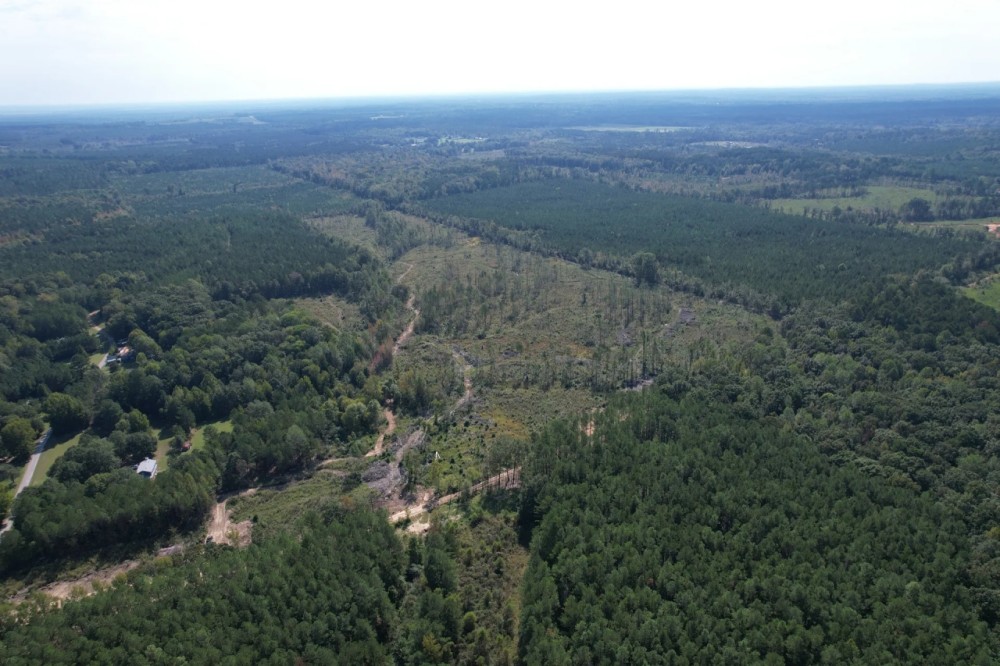 60 Acres in Webster County MS featured image