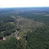 60 Acres in Webster County MS