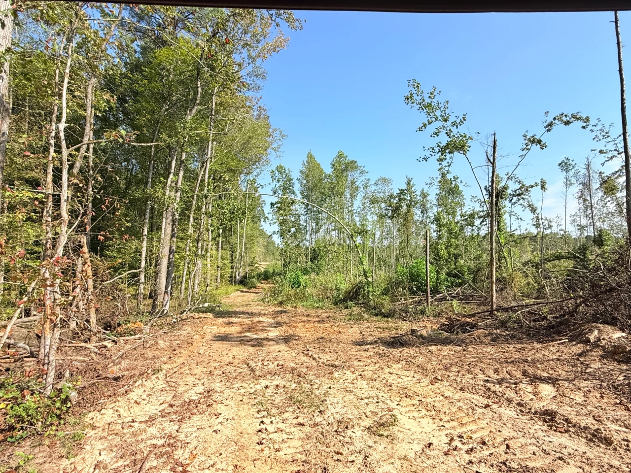 60 Acres in ster County MS Hunting Land for Sale HuntingLocator