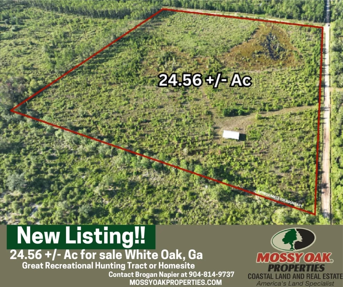 24.56 Ac for Sale with Pole Barn in Camden County GA Hunting Land