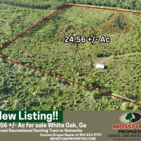 24.56 - Ac for Sale with Pole Barn in Camden County GA
