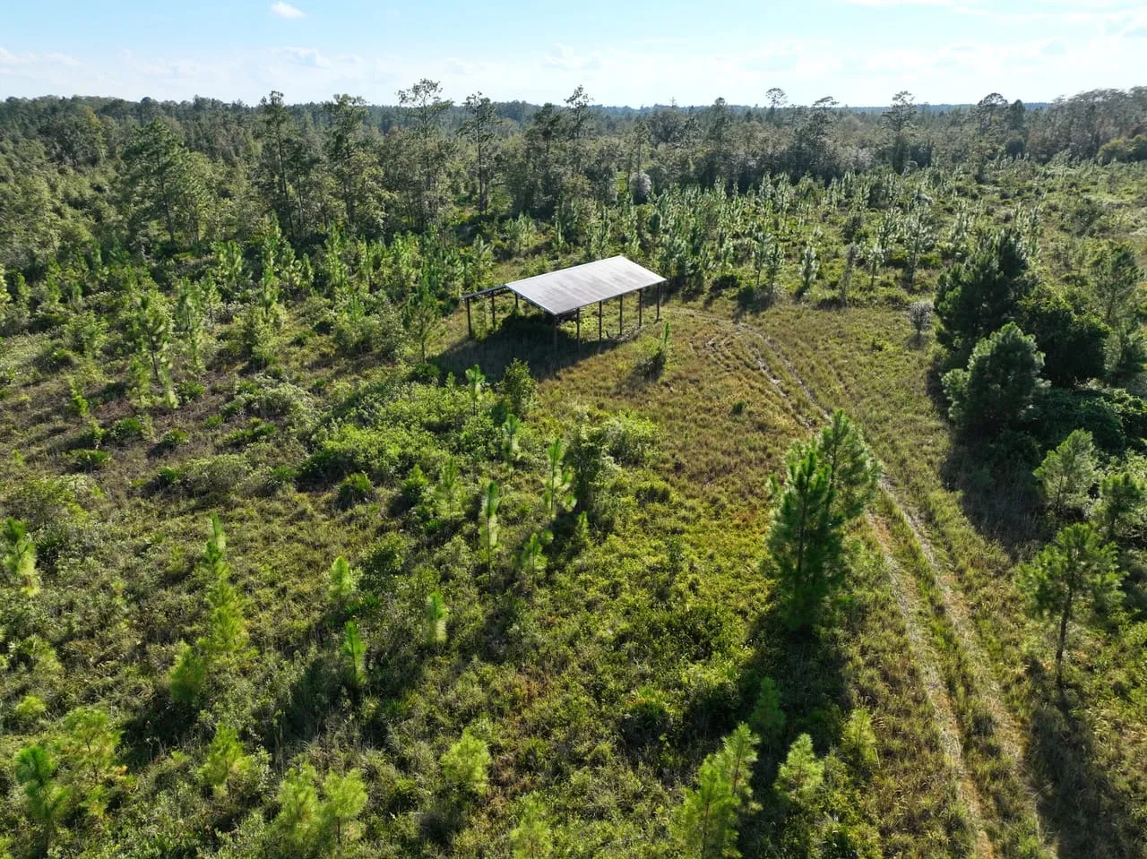24.56 Ac for Sale with Pole Barn in Camden County GA Hunting Land
