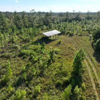 24.56 - Ac for Sale with Pole Barn in Camden County GA images 2