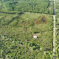 24.56 - Ac for Sale with Pole Barn in Camden County GA images 3