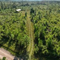 24.56 - Ac for Sale with Pole Barn in Camden County GA images 5