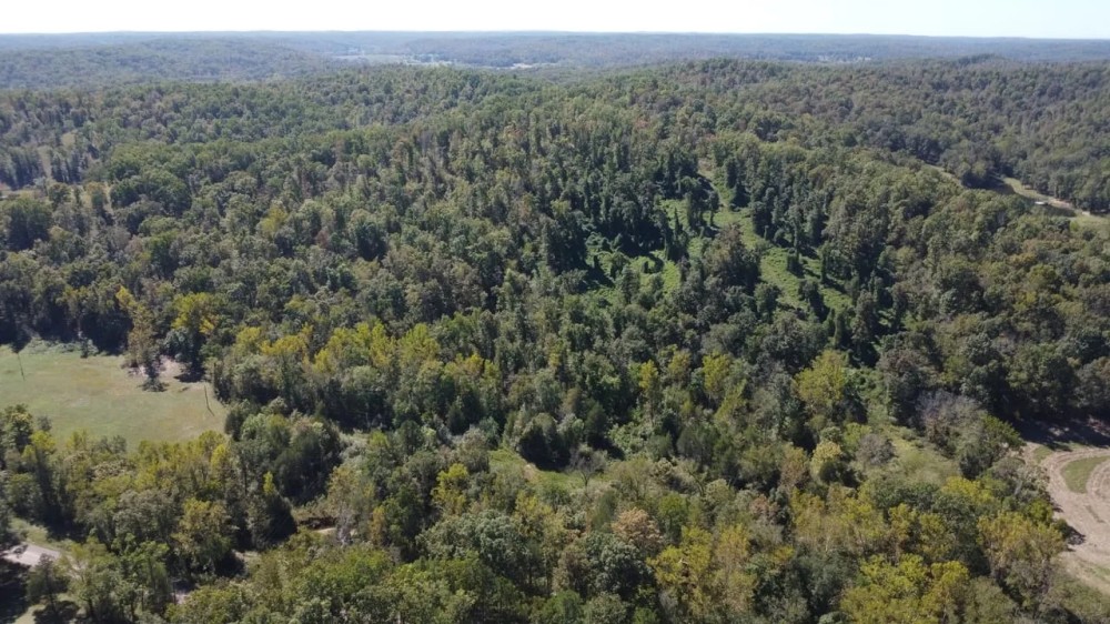 45 - Acres For Sale in Wayne Co. featured image
