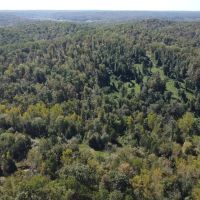 45 - Acres For Sale in Wayne Co.