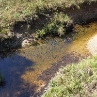 45 - Acres For Sale in Wayne Co. images 2