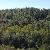 45 - Acres For Sale in Wayne Co. images 4