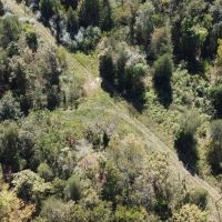 45 - Acres For Sale in Wayne Co. images 5