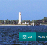 392-acre Egmont Key NWR birds hunting land in Tampa Bay, FL images 2