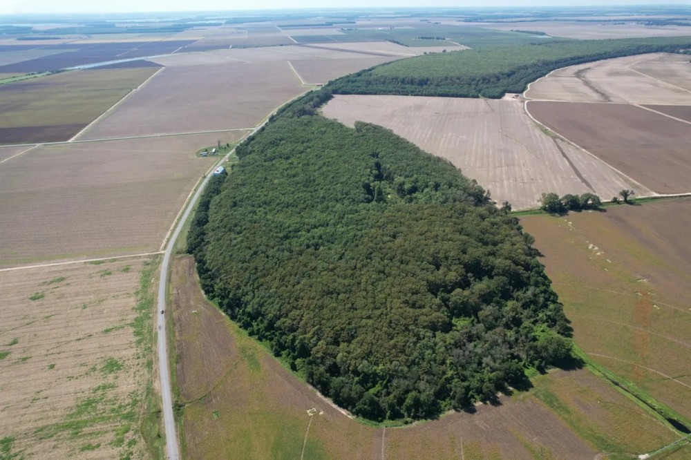 40.4 Acres in Leflore County MS featured image