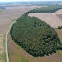 40.4 Acres in Leflore County MS