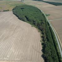 40.4 Acres in Leflore County MS images 2