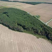 40.4 Acres in Leflore County MS images 3