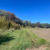 40.4 Acres in Leflore County MS images 4