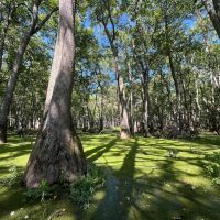 40.4 Acres in Leflore County MS images 5