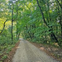 12.25 Acre Rural Recreational Retreat images 3