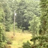 30 acres fine woods and home images 4