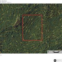 The Hideaway Cabins images 5