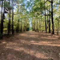 The Plain Dealing Getaway