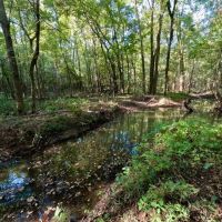The Plain Dealing Getaway images 2