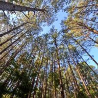 The Plain Dealing Getaway images 5