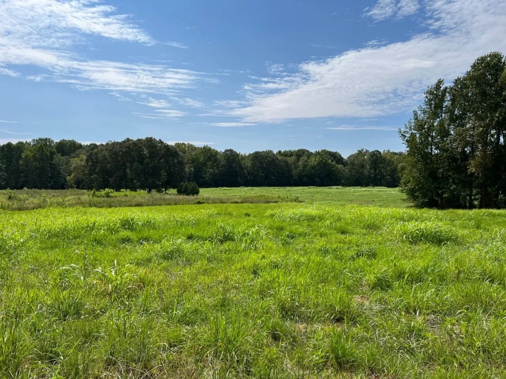 174.73 Acre Clear Creek Retreat Henry County Tennessee featured image