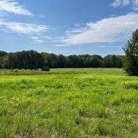 174.73 Acre Clear Creek Retreat Henry County Tennessee