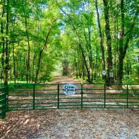 174.73 Acre Clear Creek Retreat Henry County Tennessee images 2