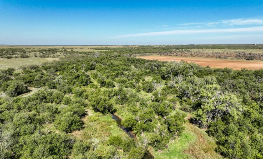 Bluebonnet Creek Ranch featured image