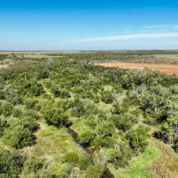 Bluebonnet Creek Ranch