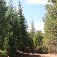 Tower Spring Acres images 3