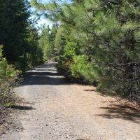 Tower Spring Acres images 4